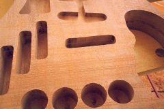body-tele